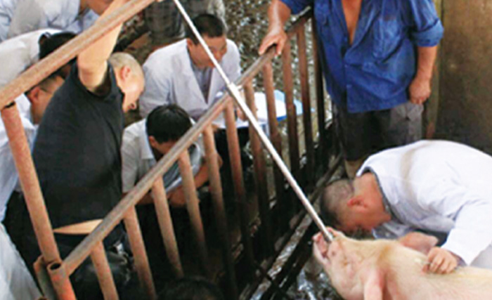 從新冠肺炎假陰性，看非瘟檢測(cè)的本質(zhì)