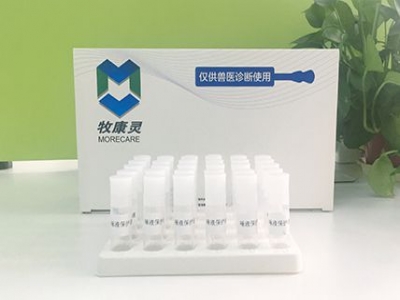 唾液保護(hù)液