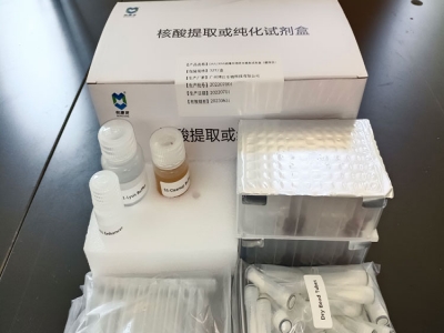 環(huán)境核酸提取磁珠法