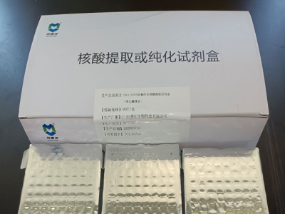 通用核酸提取磁珠法