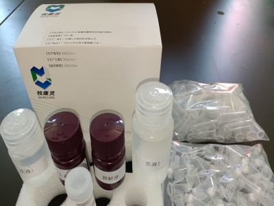 通用核酸提取柱提法