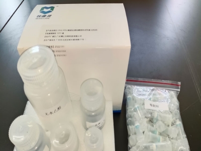 唾液核酸提取柱提法