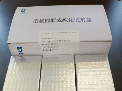 唾液核酸提取磁珠法